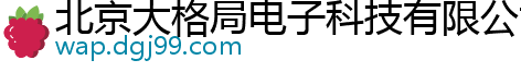 北京大格局电子科技有限公司